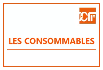 CFR_2019%20Gimp%20mod%C3%A8le%20promos%20site%20internet_v2